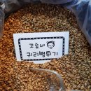 율이엄마꼬숩네 네이버블로그