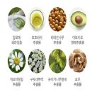 이지상사 이미지