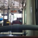 신화여객 이미지