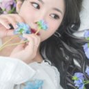 방이동사진관 이미지
