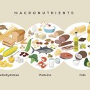 뉴엔드 짐 이미지