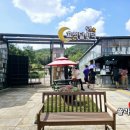 효석달빛언덕 | [문화충전 팸투어] 평창효석문화제 후기 효석달빛언덕 로컬 마켓 강원도 메밀꽃 축제 즐기기 기본 정보