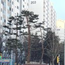 에스제이라이팅 | 반월동번호키 솔리티 SM5500 신영통현대아파트 2단지 화성도어락 설치