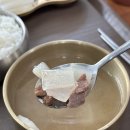 완산들기름육회비빔