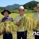 거창군농협쌀조합공동사업법인 이미지