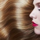 신데렐라 파크 이미지