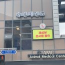 송린태권도장 이미지
