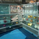 산모랭이풀내음 이미지