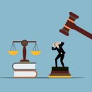 미미행정사 이미지