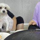 날아라솥뚜껑 이미지