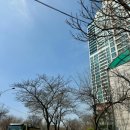 영등포소방서(여의도119안전센터) 이미지