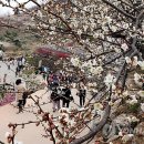 매화 어린이집 이미지