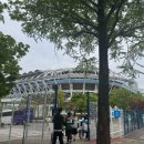 대전하나시티즌 vs 강원FC 축구 홈경기 직관 후기(대전월드컵경기장 홈석 E코어석 시야)