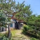 플러스마트SK점
