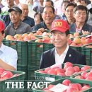 청과물처리장 이미지