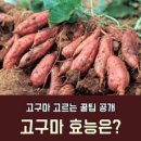 농부마을 고구마입니다. 이미지