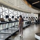 H-GYM 투 | 태국 치앙마이 헬스장 개인 피티 마야몰 Maxx 오픈시간 가는 법 한달살기 추천 후기