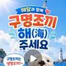 해달컴퍼니