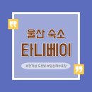 타니베이 호텔 | [울산 호텔] 일산해수욕장 앞 전객실 오션뷰 타니베이 호텔 내돈내산 후기 (단점, 장점)