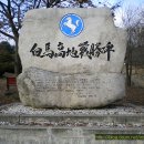 955포병