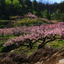 사곡2리 이미지