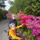 휴드림요양원 이미지