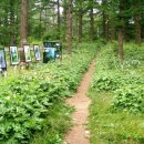 풍경안에서 이미지