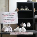 댕댕냥냥 | 부천역고양이카페 댕댕냥냥 다녀온 후기