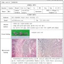 콩닥 동물병원 이미지