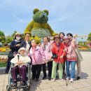 2025.5.2 고양시 국제꽃박람회 이미지