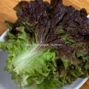 잠실새내 줄 서서 먹는 족발, 공씨네 족발보쌈 솔직 후기!