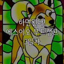 에스이오 부트캠프 3일차 강의 수강 후기