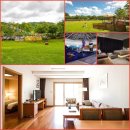 펑키펫(Funky pet) | 홍천 소노펫 리조트 애견동반 완벽한 휴식 추천