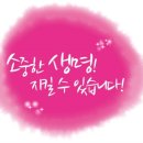 동백유치원 네이버블로그