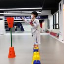 국가대표태권도 예가 이미지