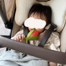 아기 치발기: 모윰, 캠캠코펜하겐, 올리앤캐롤 등