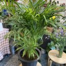 홍제농장 이미지