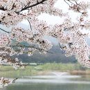 아뜰리에 7 이미지