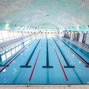 대영스포렉스 이미지