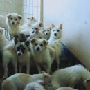 비비모텔 이미지