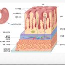 용담한의원 이미지