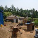 완도 고금도 지석묘군 이미지