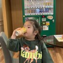 창원 해돋이 유치원 이미지