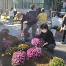 백석1동 행정복지센터 이미지