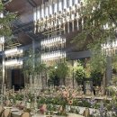 (주)지디온 | 빌라드지디 안산 켈리홀 ❤️‍🔥파격가❤️‍🔥 계약 후기 (그 누구의 계약보다 저렴할꺼라 자부함!!!)