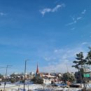 장골로가로수 이미지