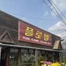 플라워엘 | 구리 꽃집 추천 | 셀프 분갈이 가능한 감성 가득 플로엘 플라워 방문 후기