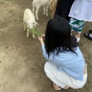 씨피코트 | 1월의 나트랑 여행 - 3박 5일