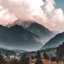 봄날처럼 이미지