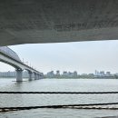 데빌스바지니코 이미지